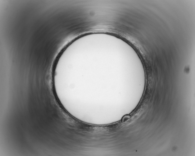 X0000103451469200810031425