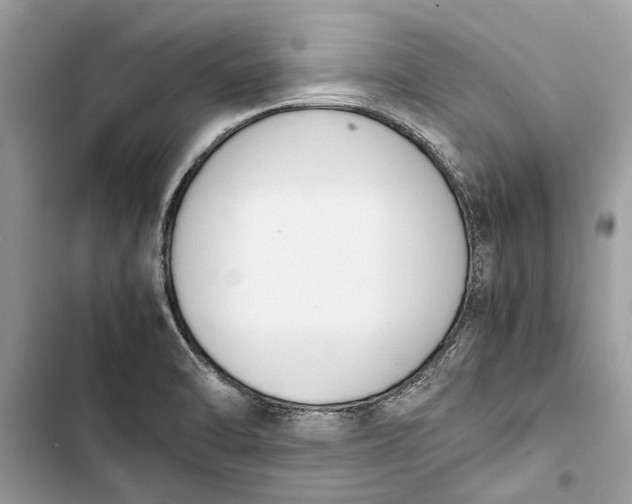 X0000103451470200810031425