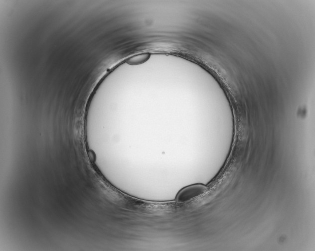 X0000103451473200810031425