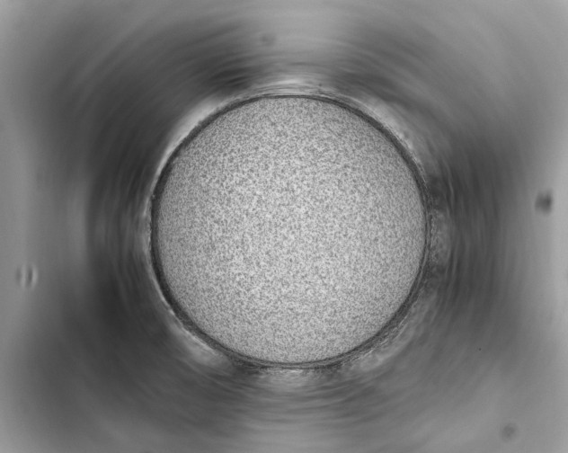 X0000103451474200810031425