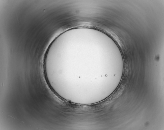 X0000103451475200810031425