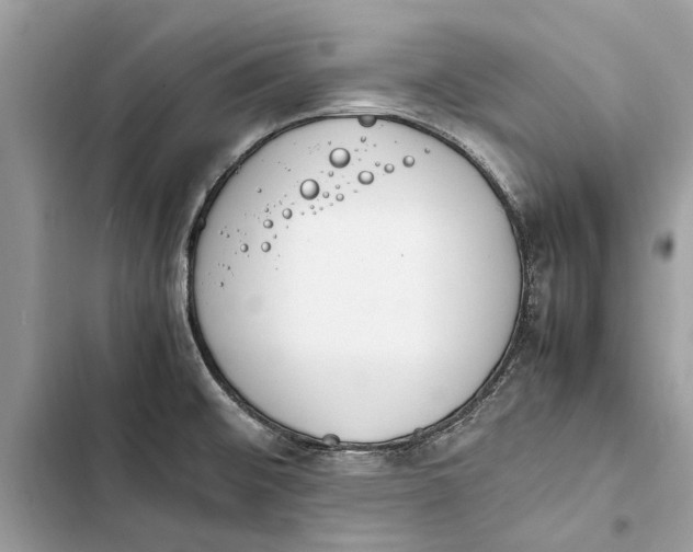 X0000103451476200810031425