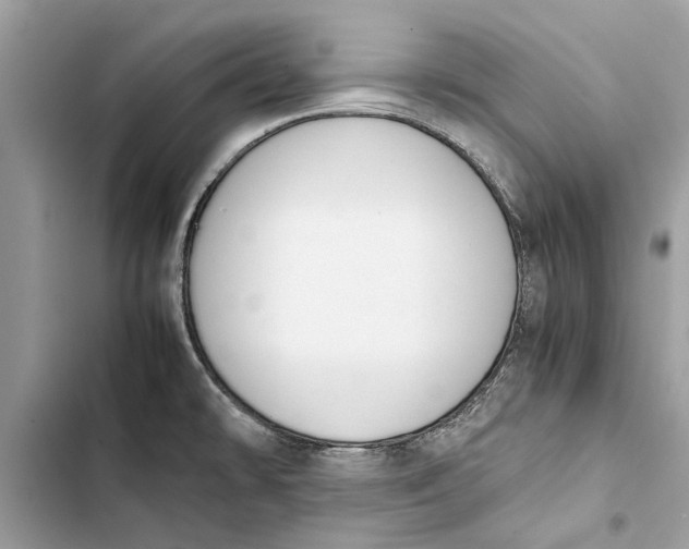 X0000103451478200810031424