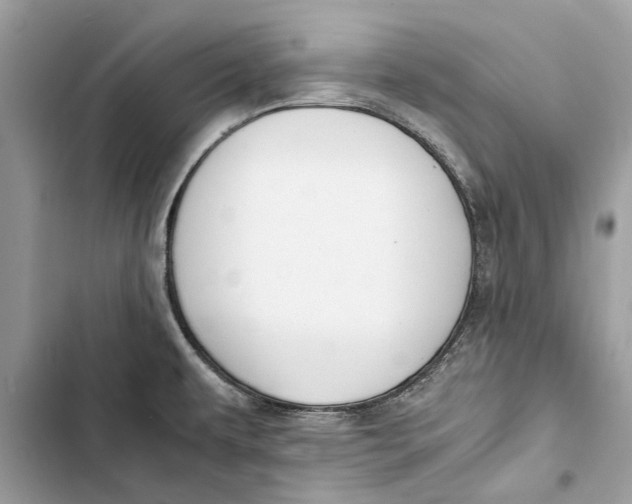 X0000103451479200810031424