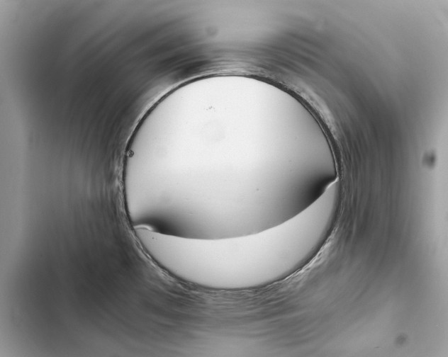 X0000103451481200810031424