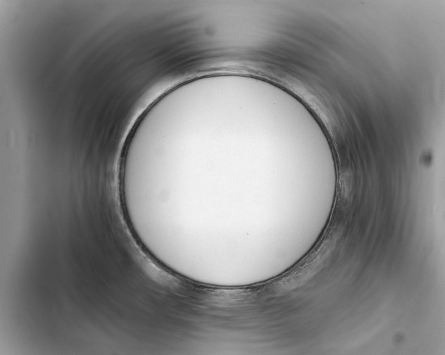 X0000103451482200810031424