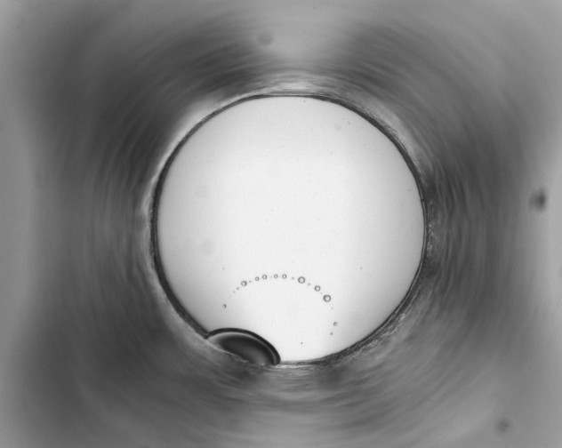 X0000103451483200810031424