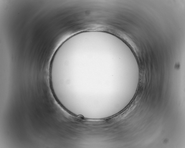 X0000103451487200810031424