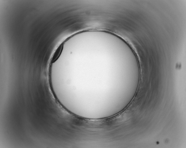 X0000103451488200810031424