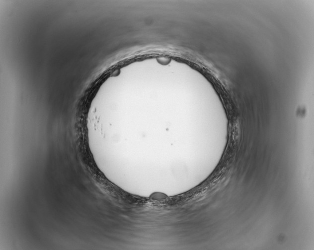 X0000103451496200810031424