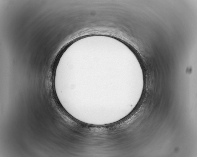 X0000103451498200810031424