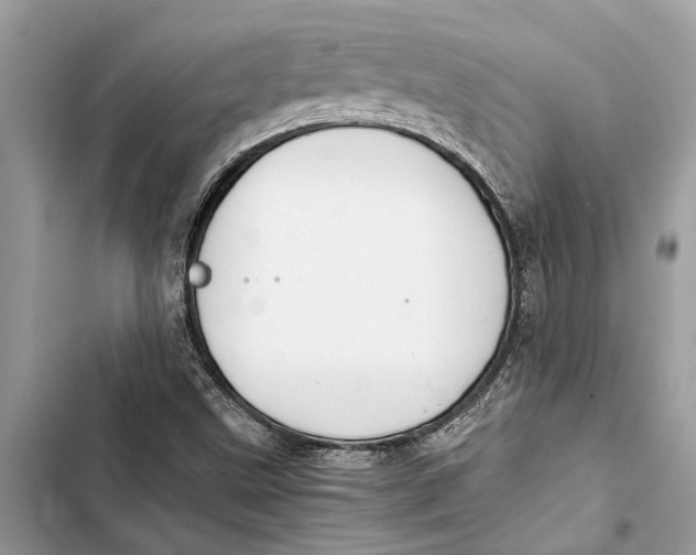 X0000103451499200810031424