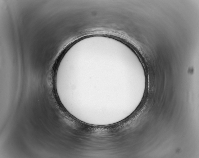 X0000103451501200810031424