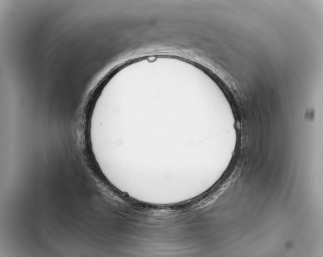 X0000103451502200810031424