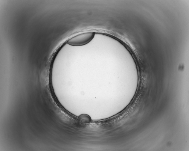 X0000103451504200810031424