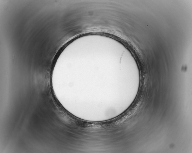 X0000103451505200810031424