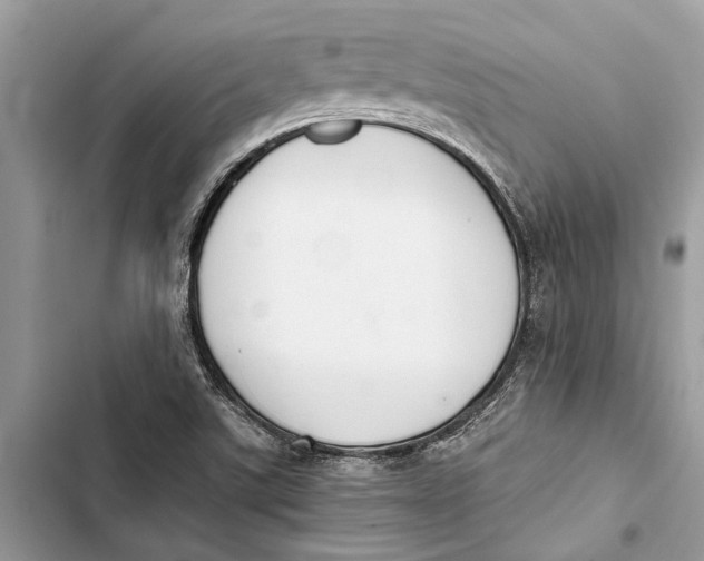 X0000103451507200810031424