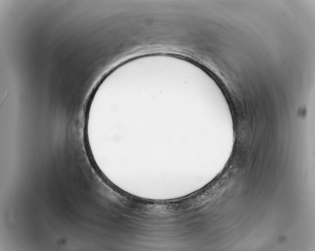 X0000103451508200810031424