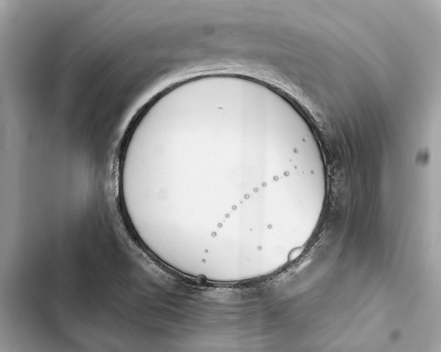 X0000103451510200810031424