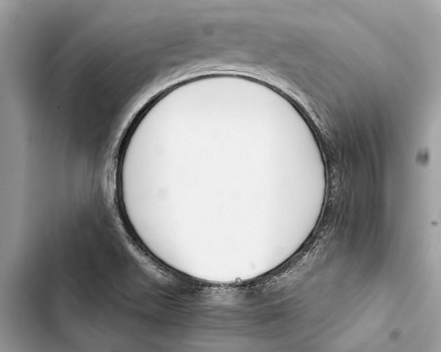 X0000103451511200810031424