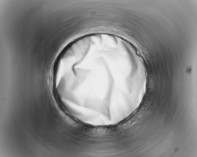 X0000103451515200810031424