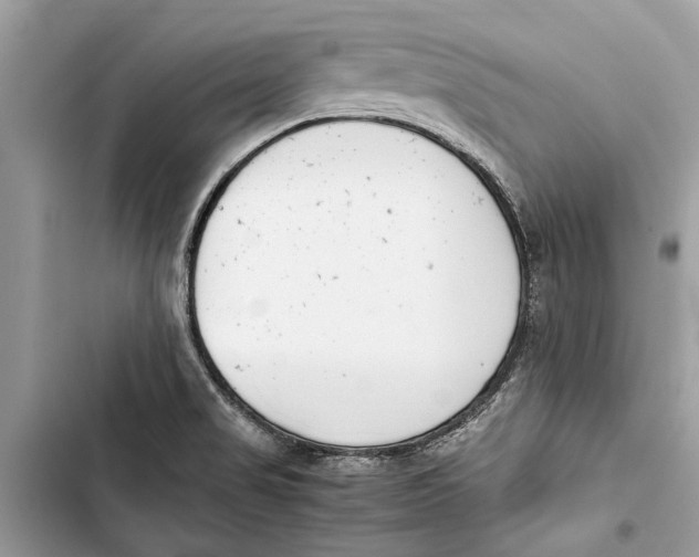 X0000103451517200810031424