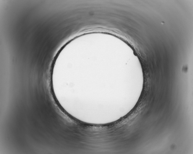 X0000103451518200810031424