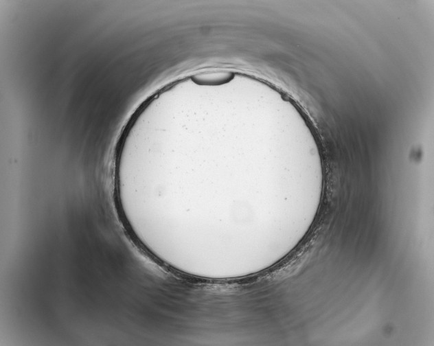 X0000103451519200810031424