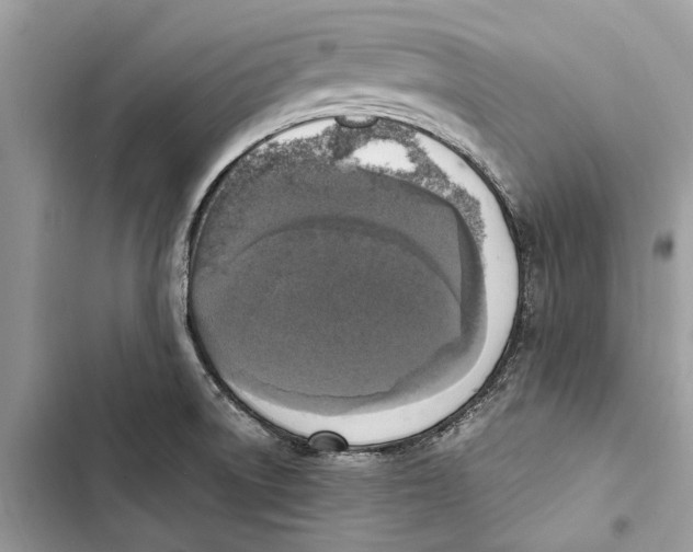 X0000103451522200810031424