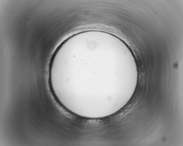 X0000103451523200810031424