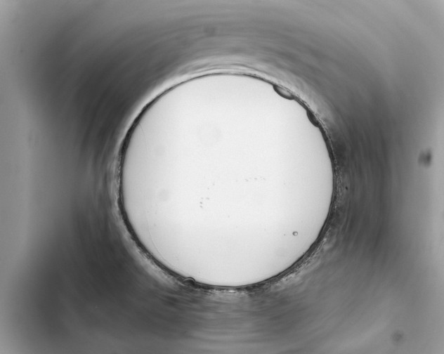 X0000103451526200810031424