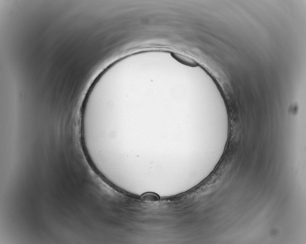 X0000103451527200810031424