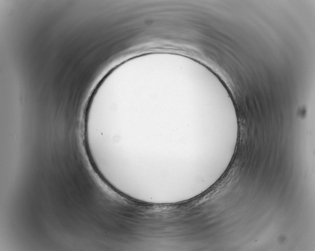 X0000103451531200810031424