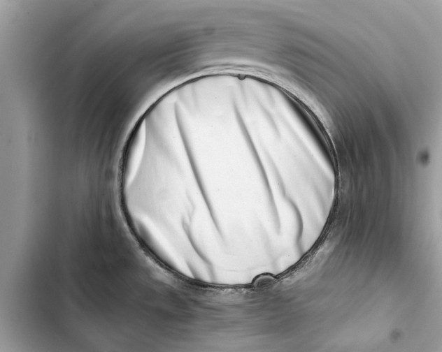 X0000103451533200810031424