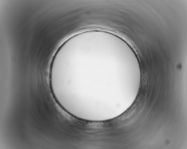 X0000103451535200810031424