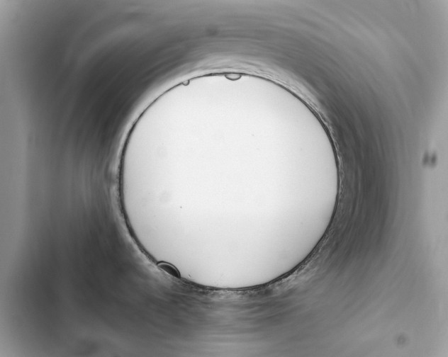 X0000103451536200810031424