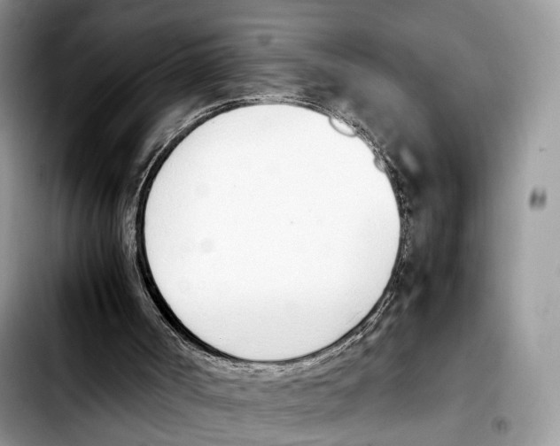 X0000103450002200810101138