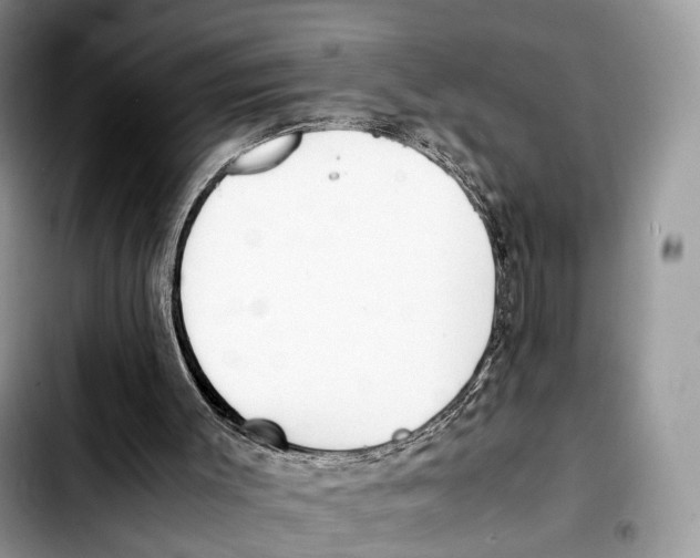 X0000103450003200810101138