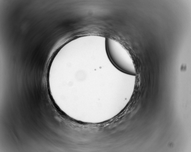 X0000103450004200810101138