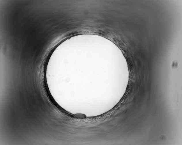 X0000103450005200810101138