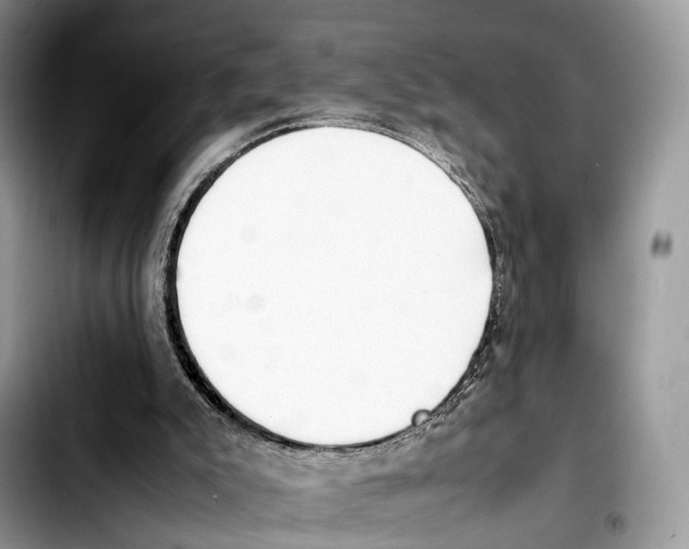 X0000103450007200810101138