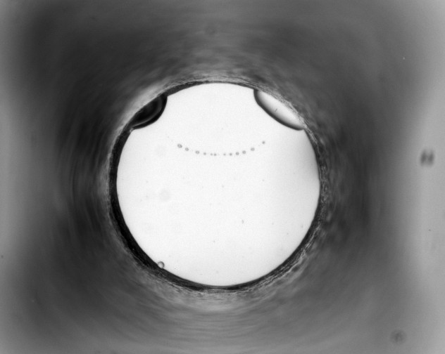 X0000103450008200810101138