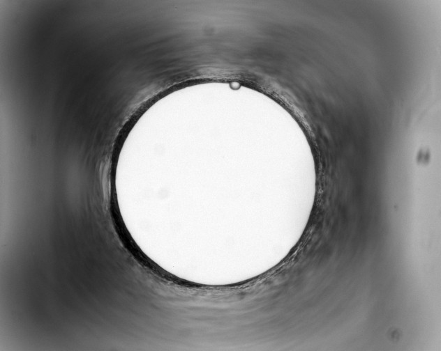 X0000103450011200810101138