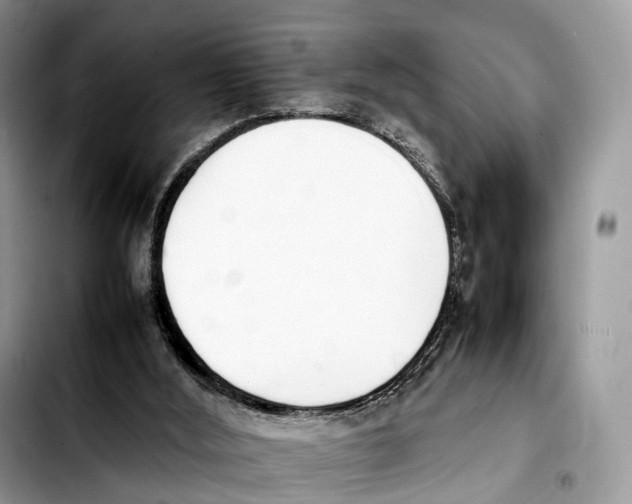 X0000103450012200810101138