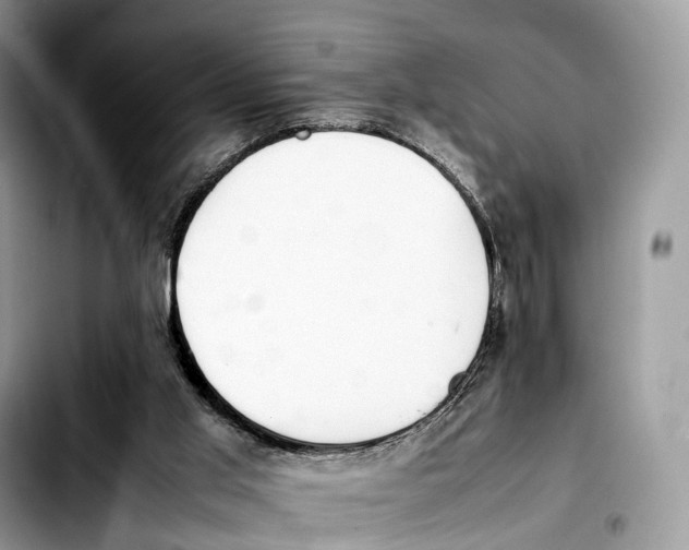 X0000103450013200810101138