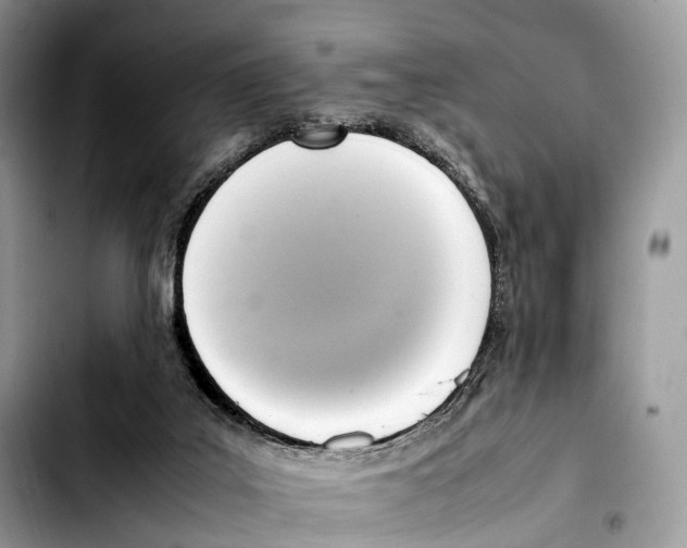 X0000103450019200810101138