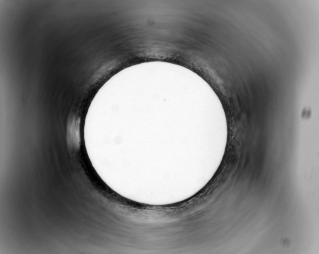 X0000103450020200810101138