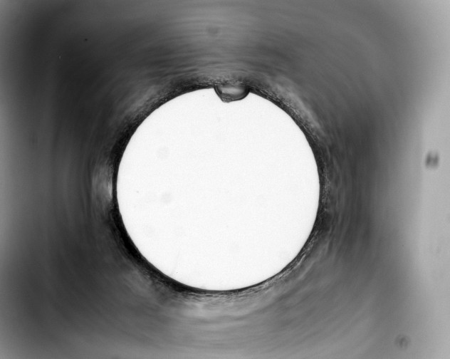 X0000103450021200810101138