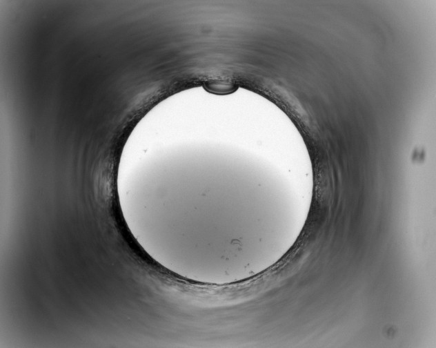 X0000103450023200810101138