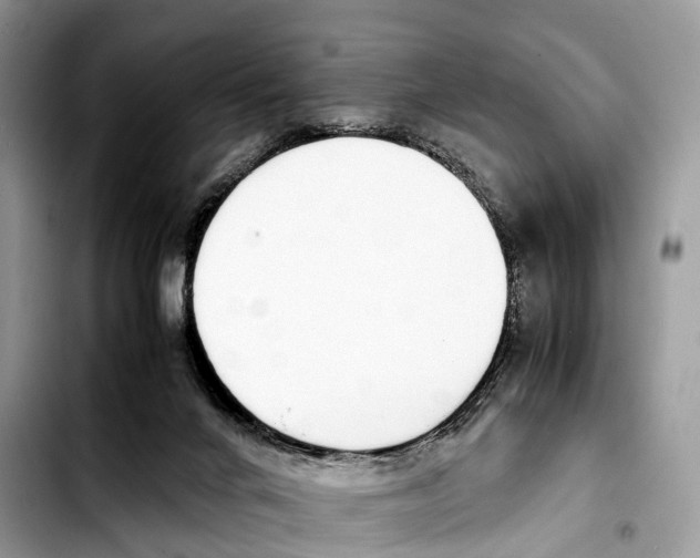 X0000103450024200810101138